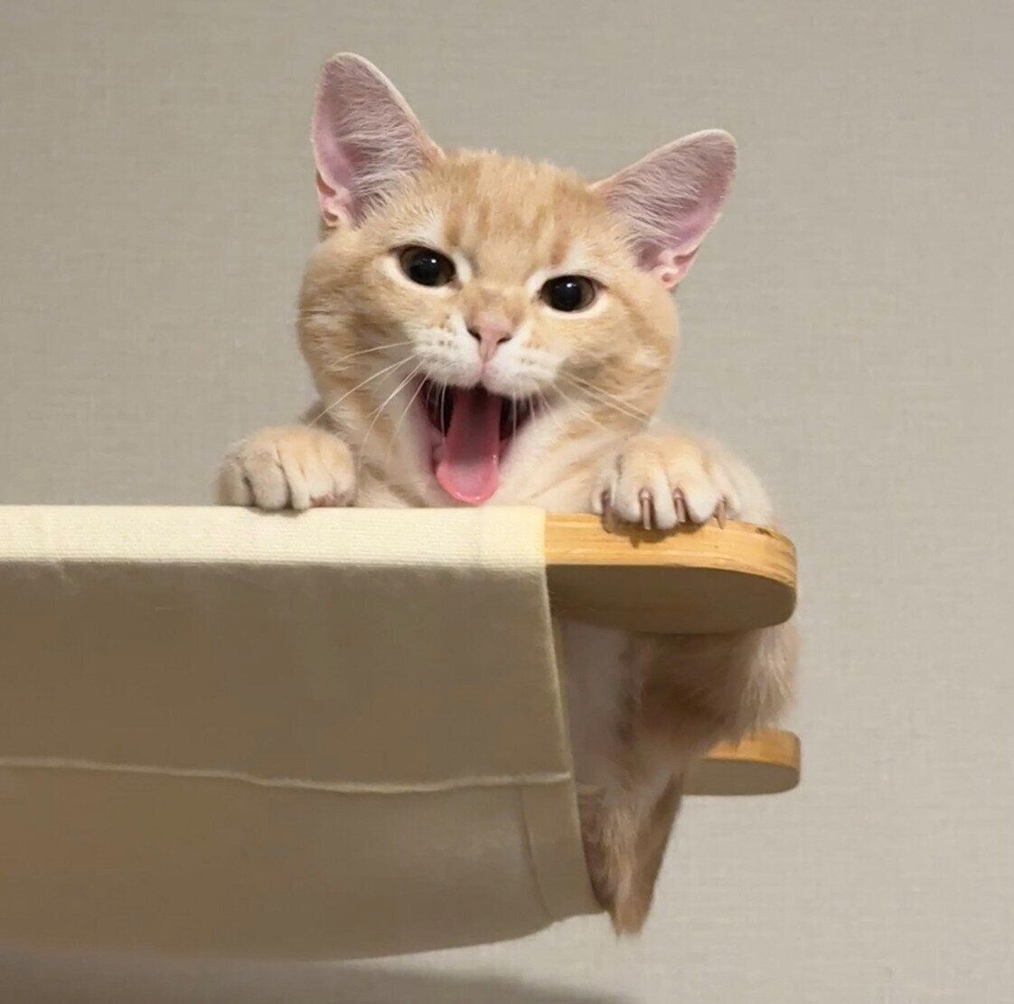 あくびをするミクくん