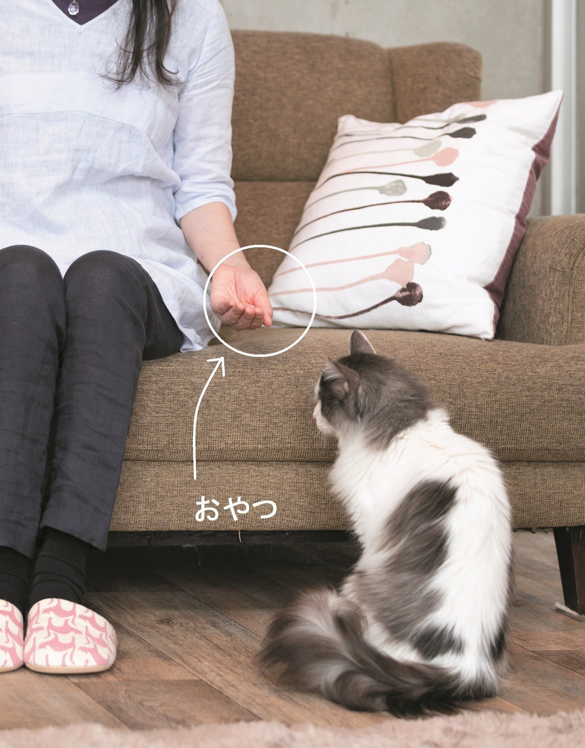 撮影／石原さくら