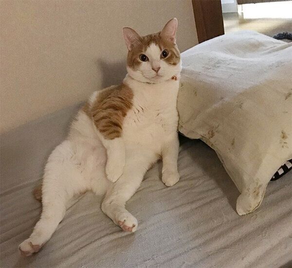 見つめるふうたくん