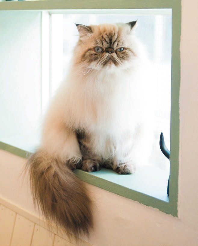 撮影／中川文作