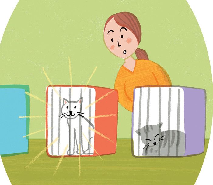 先輩飼い主さんが教える「猫が若いうちにやっておくべき３つのこと」