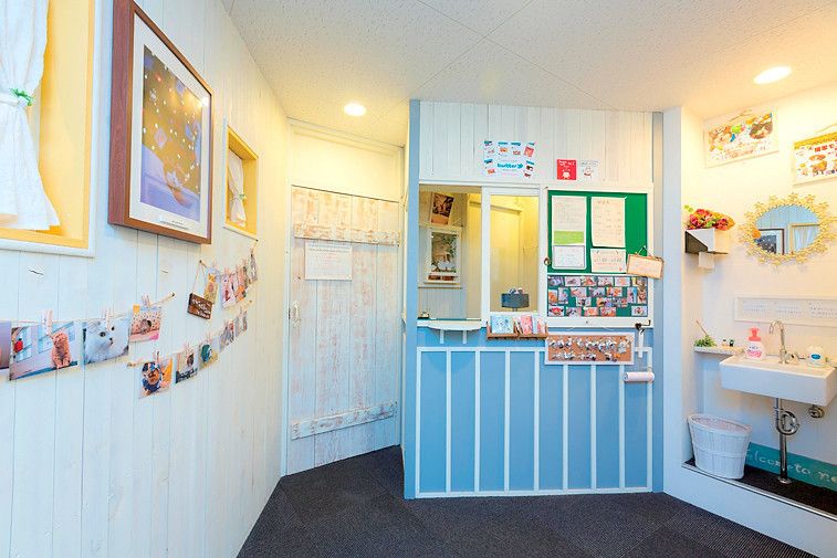 東京　川越　猫カフェ　猫家