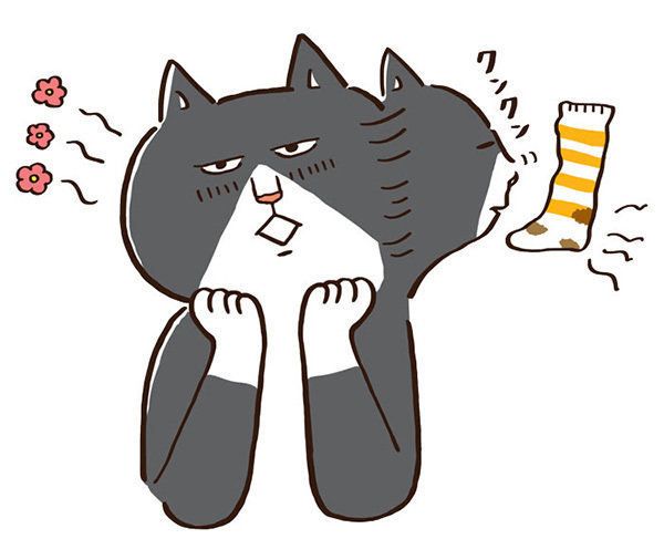 イラスト／モリヤリョウコ　臭いものに興奮する猫