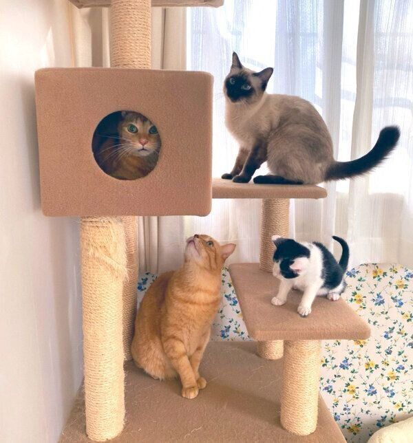 大集合する1号くん、2号くん、なみちゃん、まめちゃん