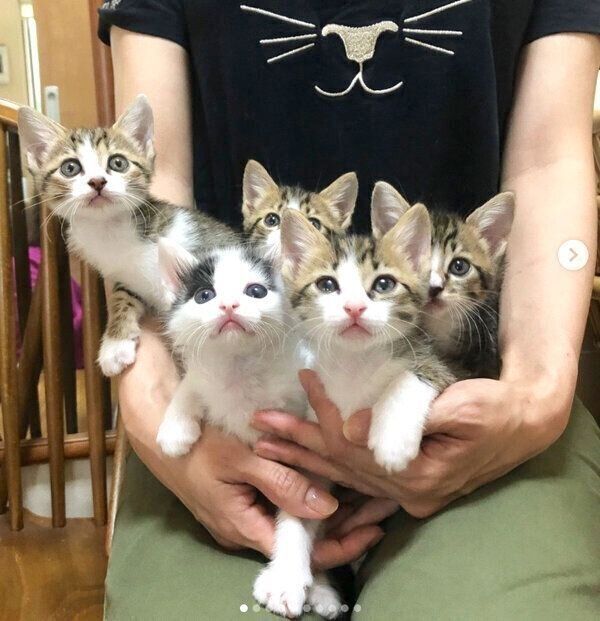 マイさんに抱えられるチーム「なにぬねの」