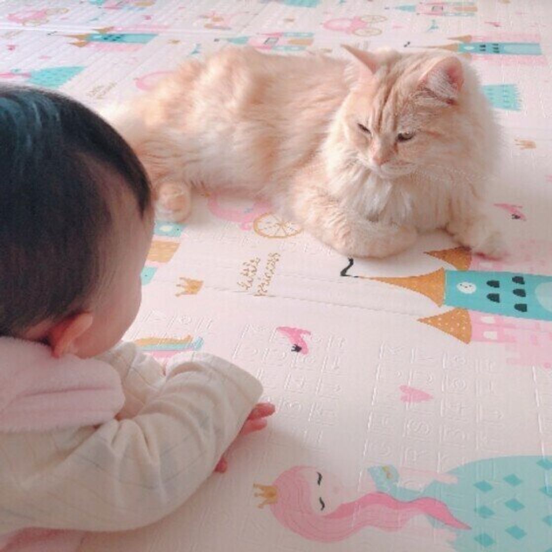 猫と赤ちゃんは仲良くできる 猫の不思議な行動とその意味 ねこのきもちweb Magazine 猫と赤ちゃんは仲良くできる 猫の不思議な行動とその意味 ねこのきもちweb Magazine