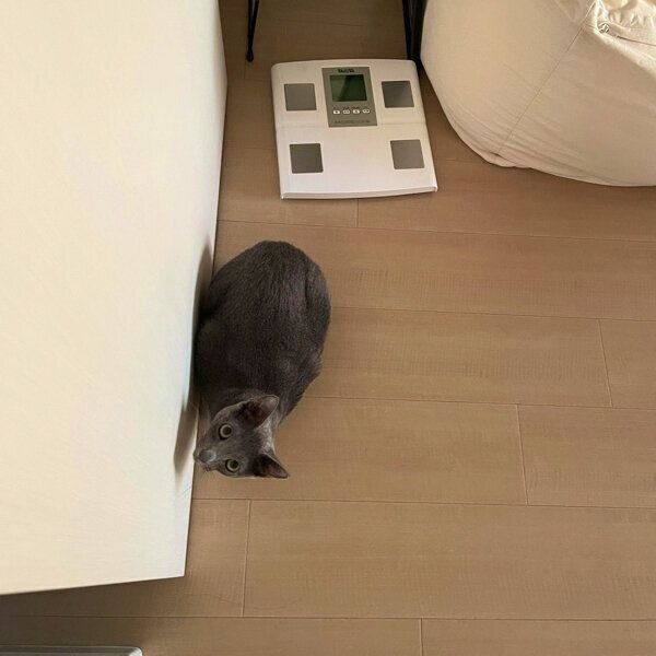 隠れていたこぱんくん