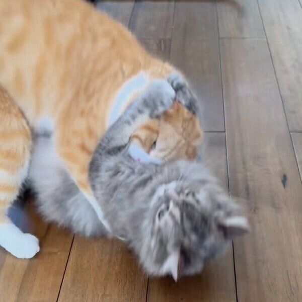 5秒以上抱きつかれてもう限界？