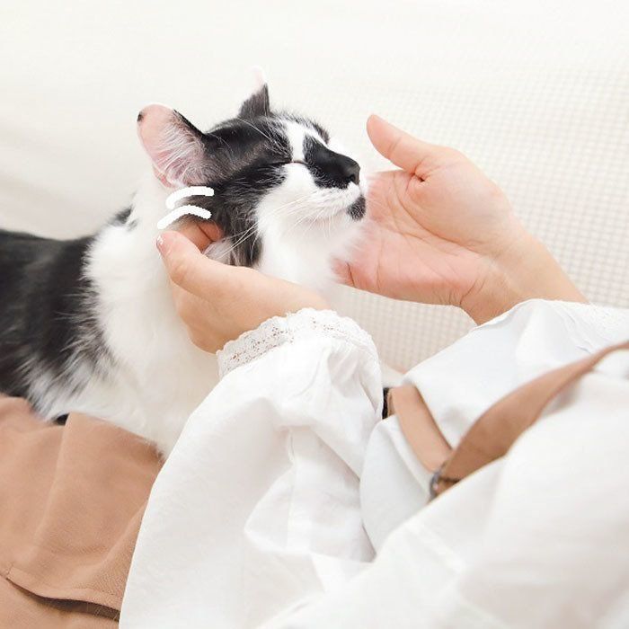 撮影／尾﨑たまき