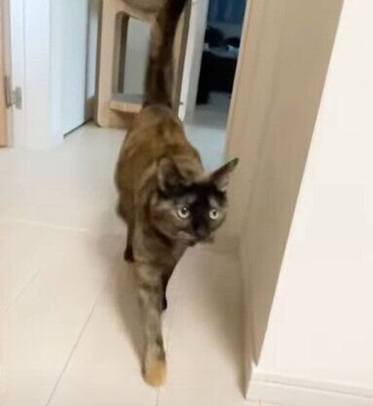 Srqvpr4iiqxcjm Srqvpr4iiqxcjm