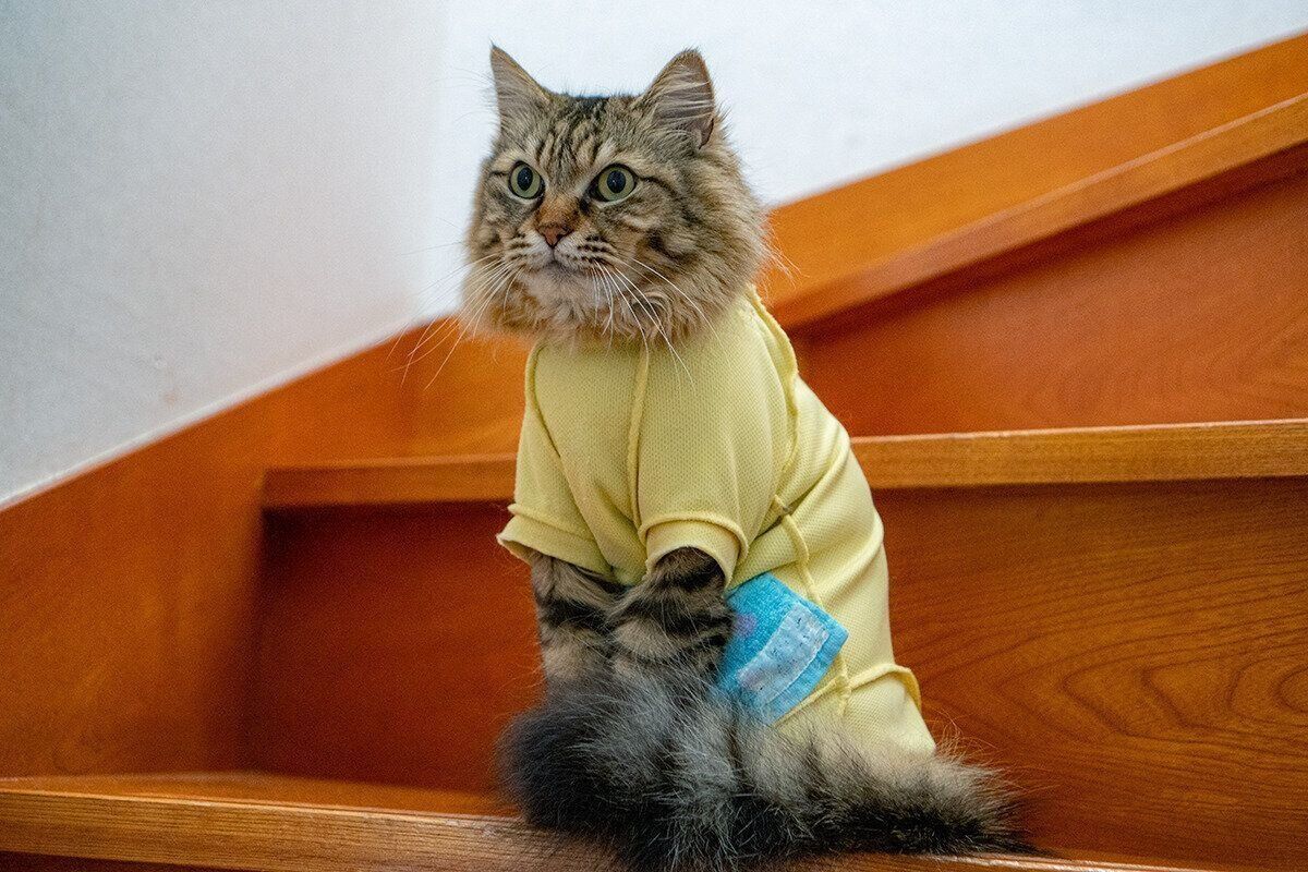 保護服を着るつむぎちゃん