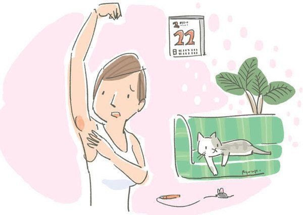 猫から直接うつりやすい病気