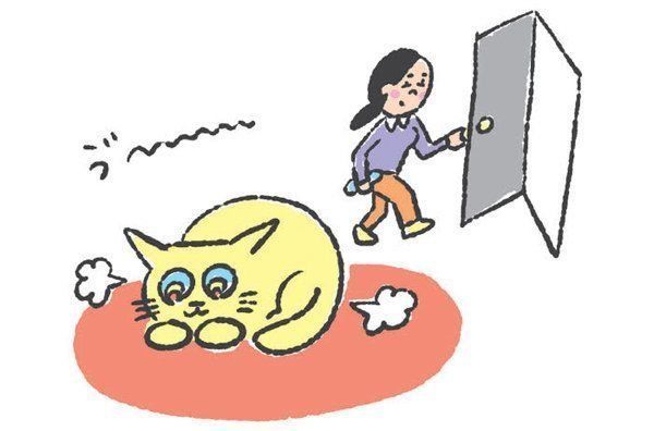 猫の「興奮スイッチ」