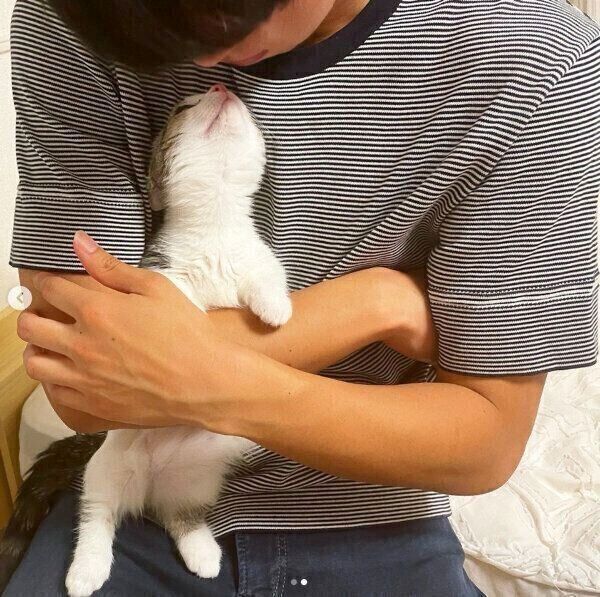 飼い主さんの彼を見つめる琥太郎くん