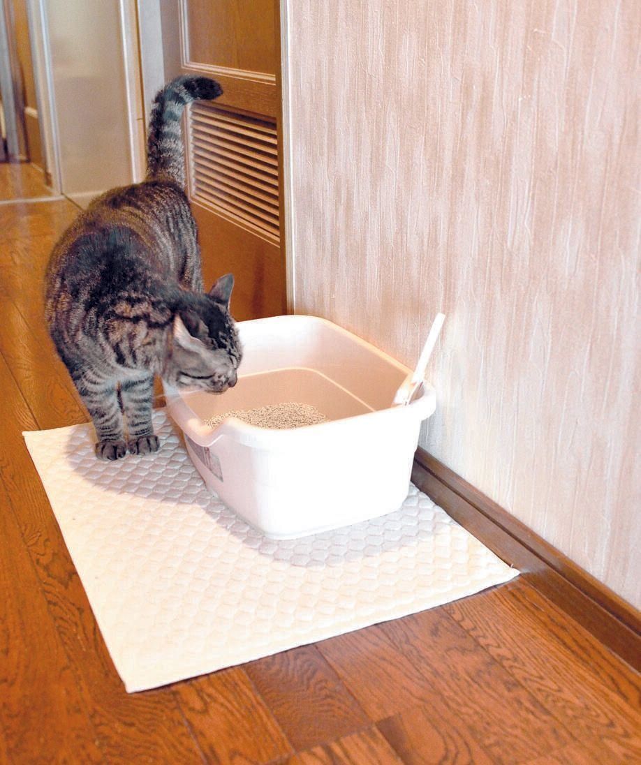 撮影／奥山美奈子