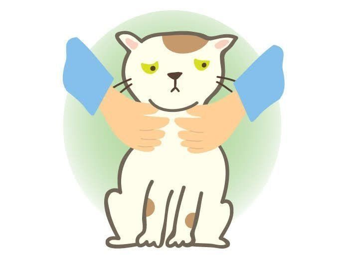 イラスト／松林今日子