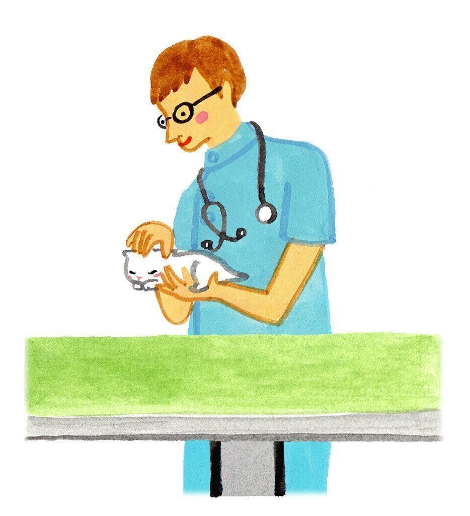 イラスト／竹脇麻衣