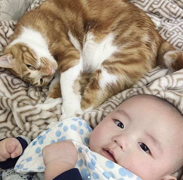 赤ちゃんと猫