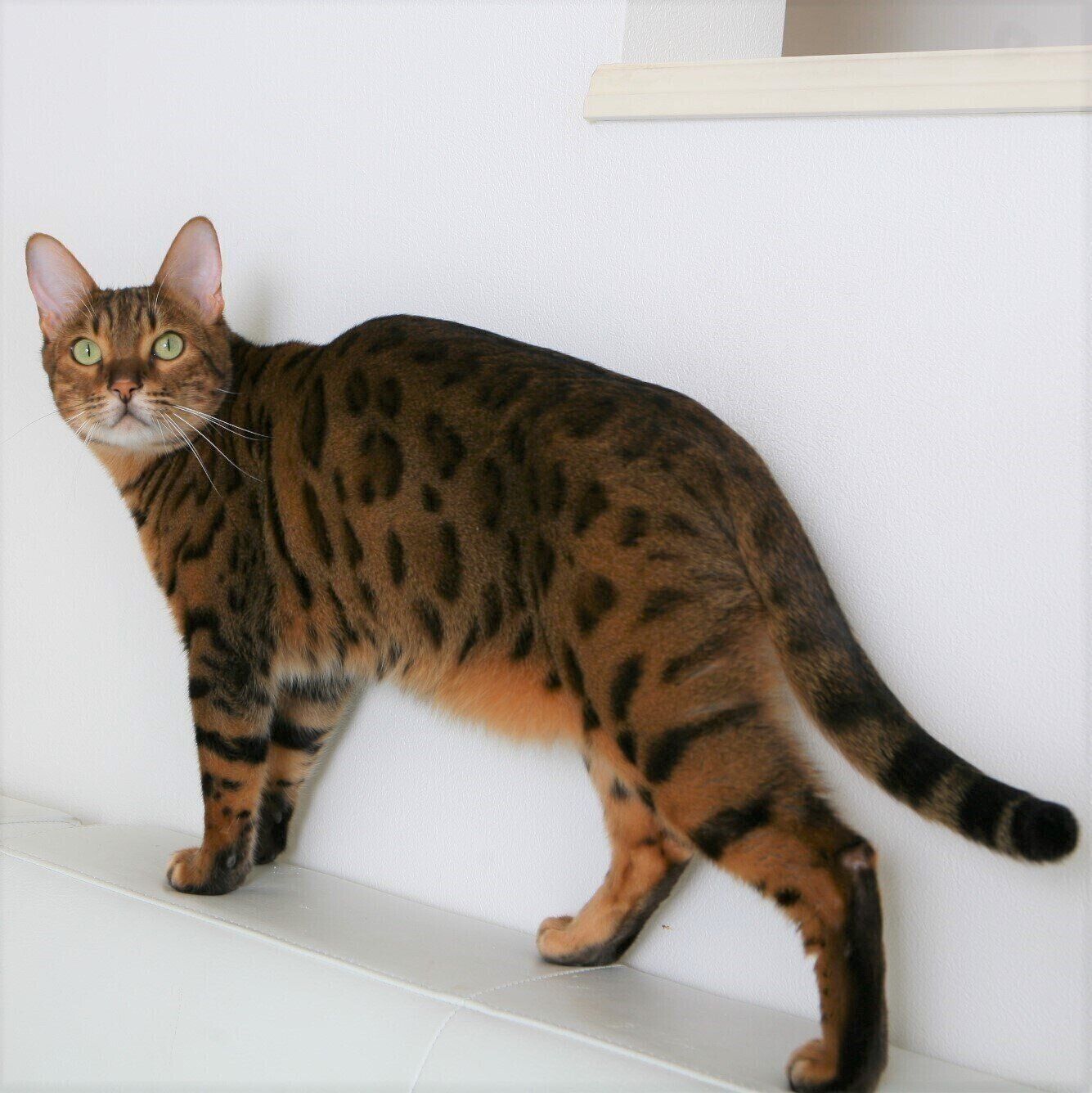 撮影／石原さくら