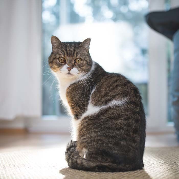 画像／Getty Images