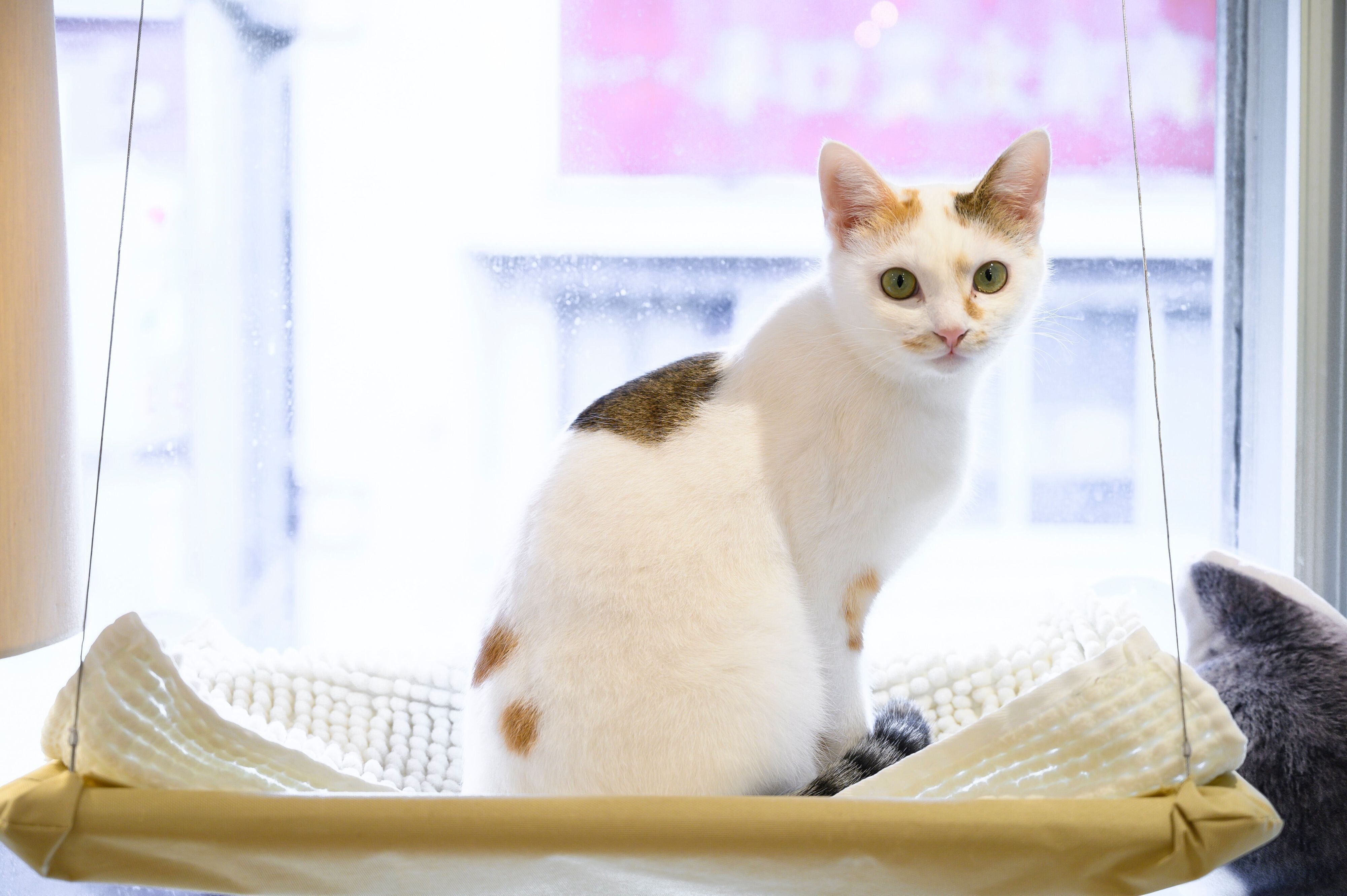 撮影／中川文作