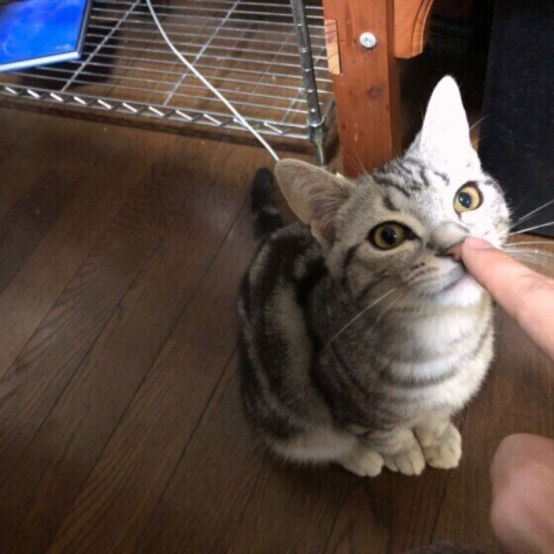 U17vco75j4hoxm U17vco75j4hoxm