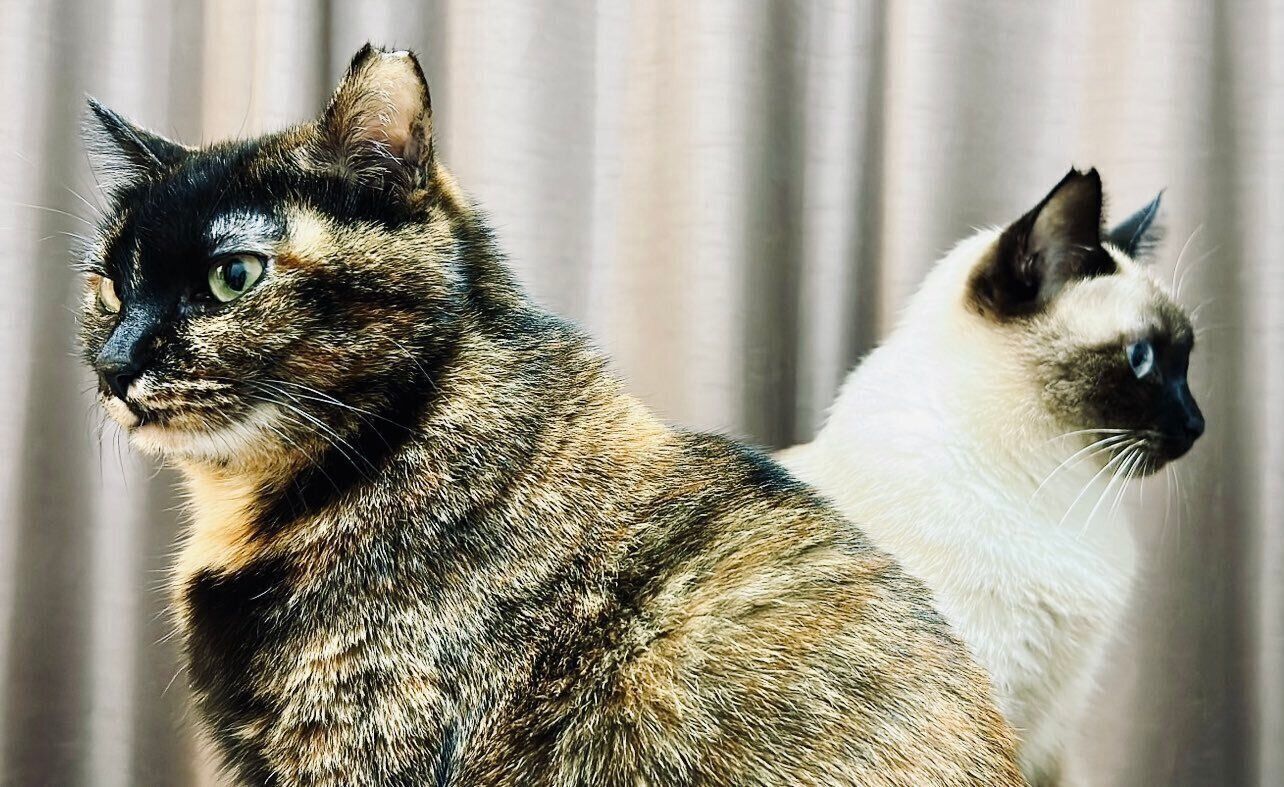 サラミちゃんとナッツくん