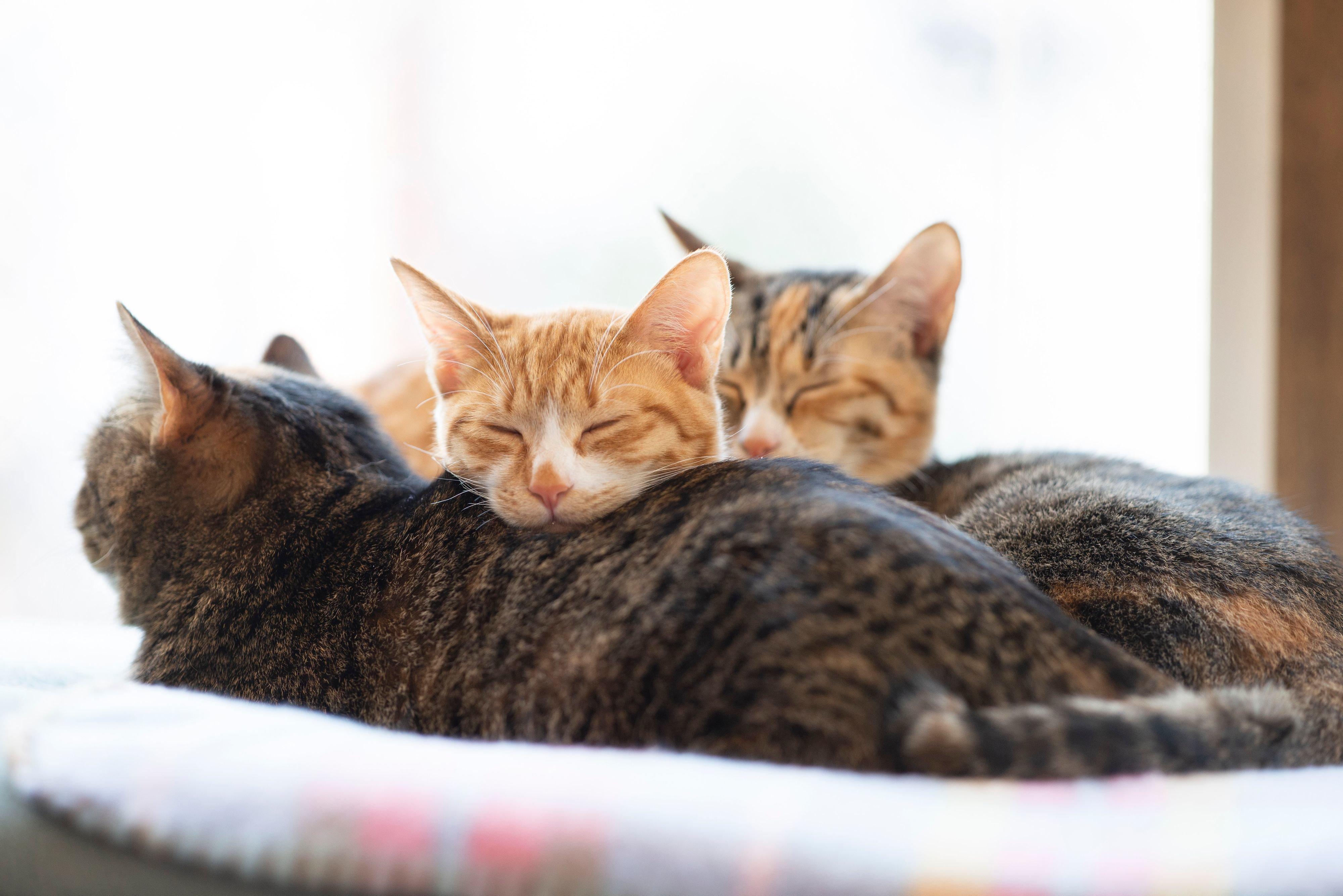 撮影／Akimasa Harada