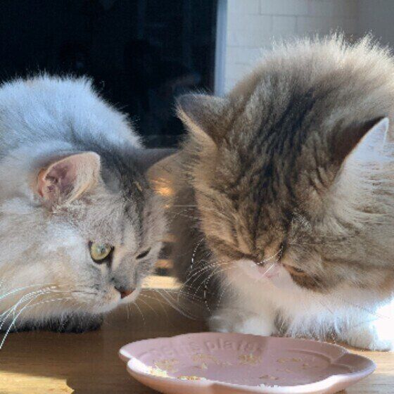 食いしん坊のそらくん