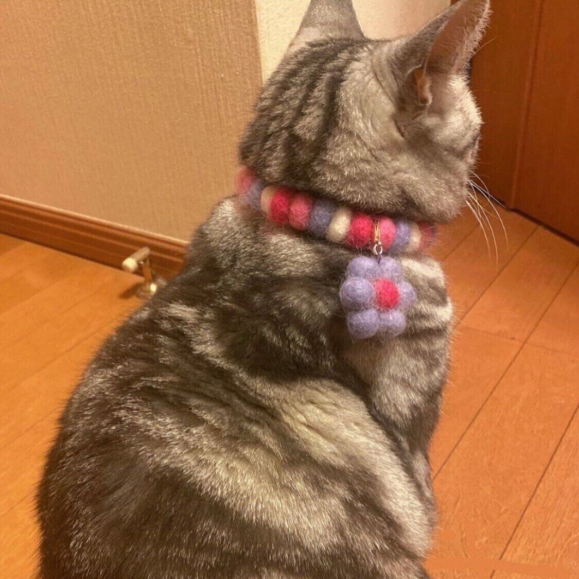 @ame_sho11さんご提供