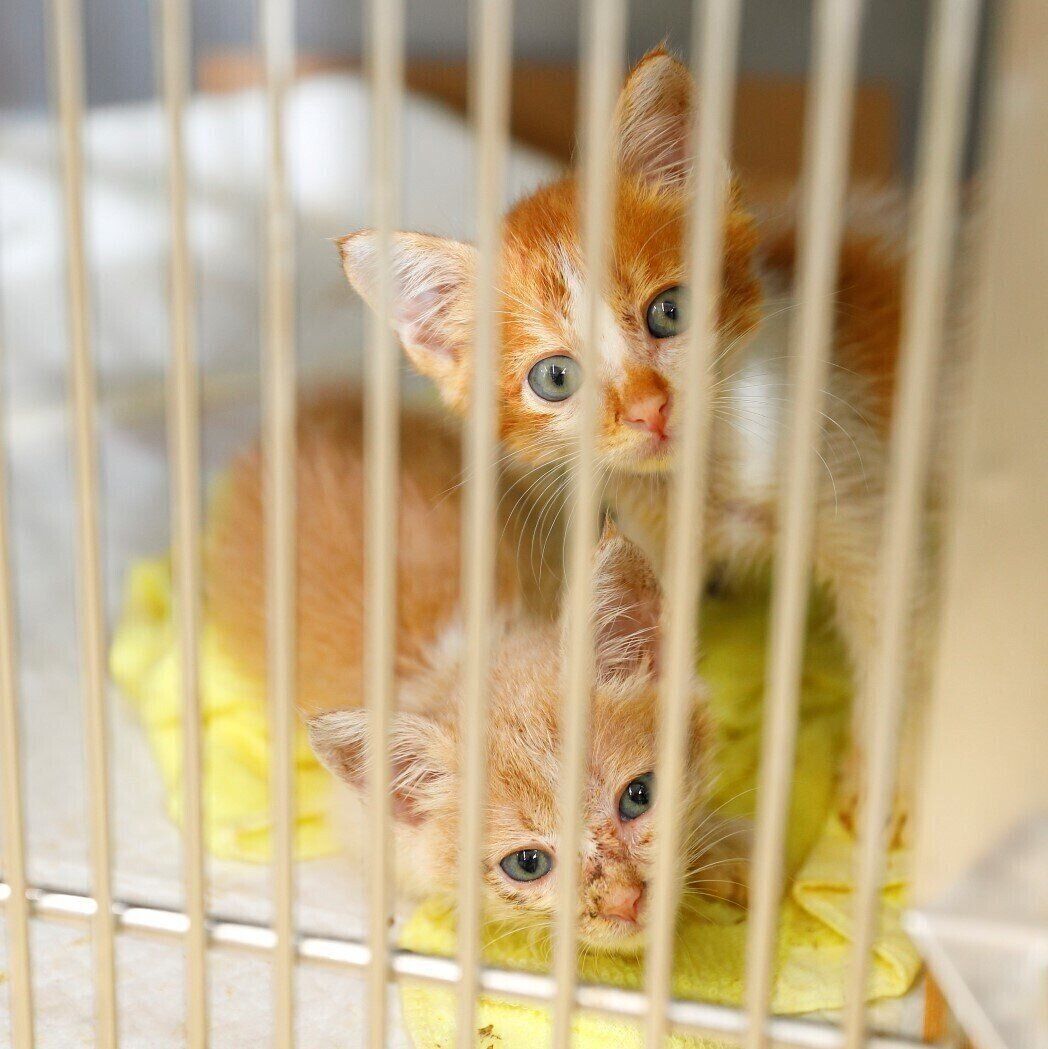 撮影／後藤さくら