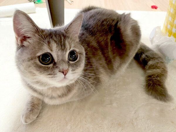 まったりするおんぷちゃん