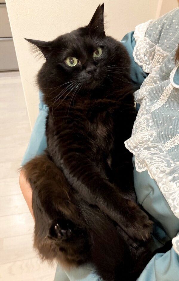 抱っこされるもんちゃん