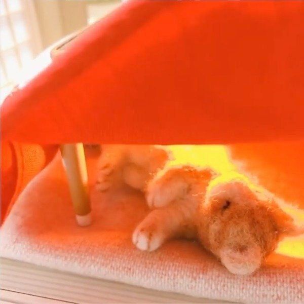 羊毛フェルト作家・須佐沙知子さんの羊毛フェルト作品