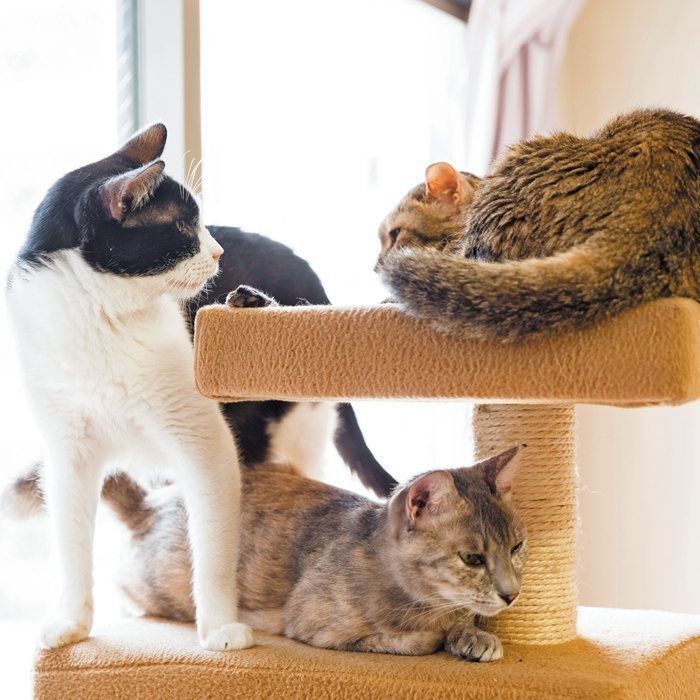 撮影／中川文作