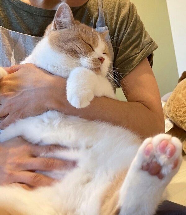 抱っこ＆マッサージをされるかんきちくん