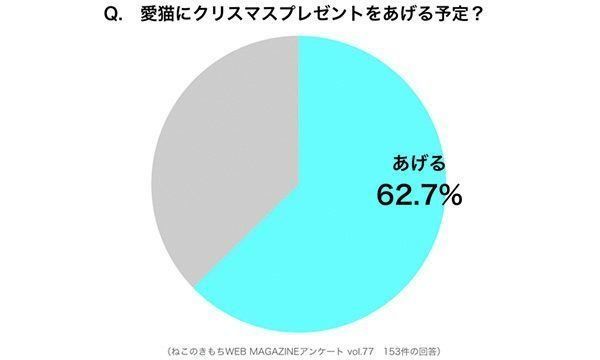 調査：愛猫にクリスマスプレゼントをあげる予定？