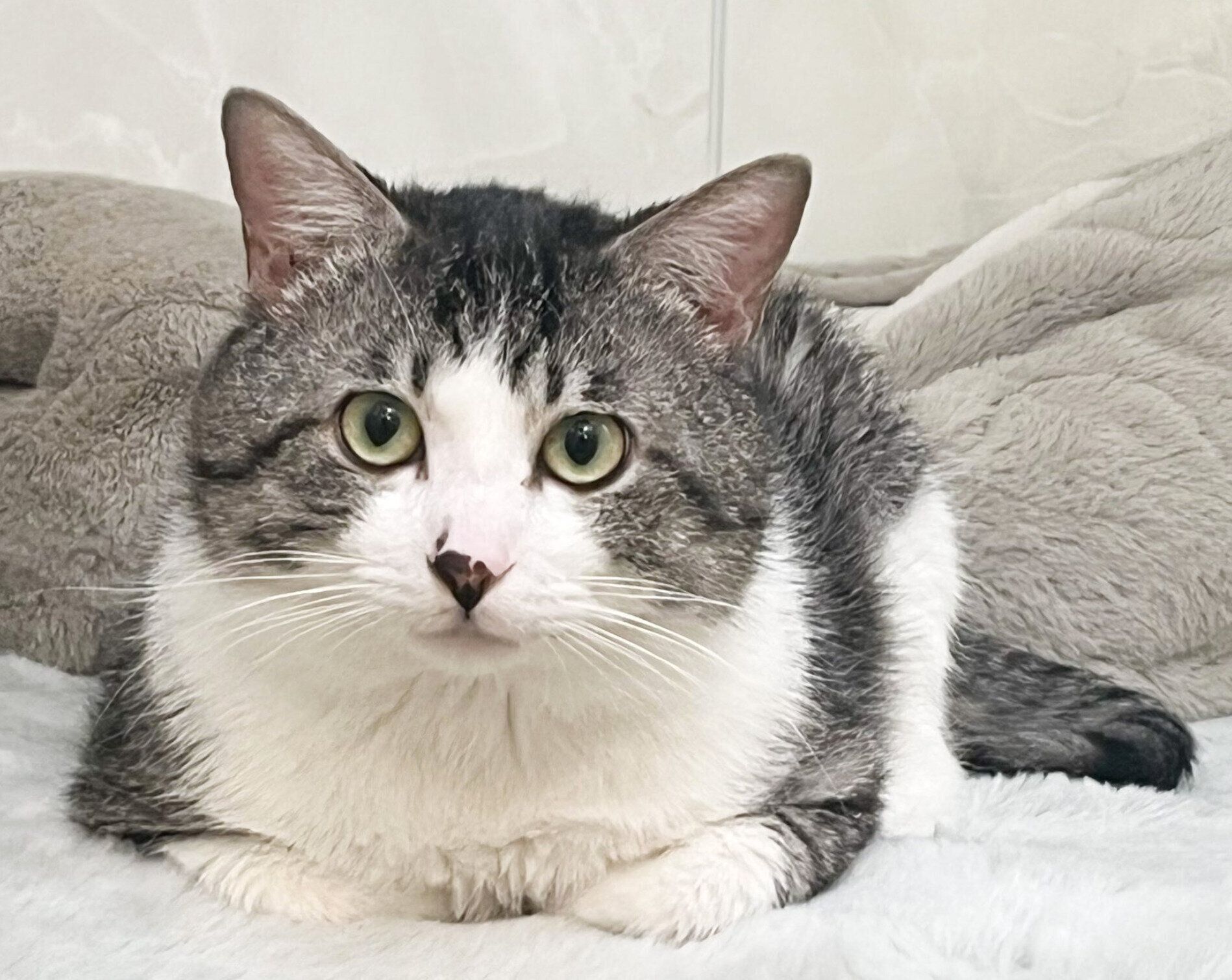 まったりするまるくん