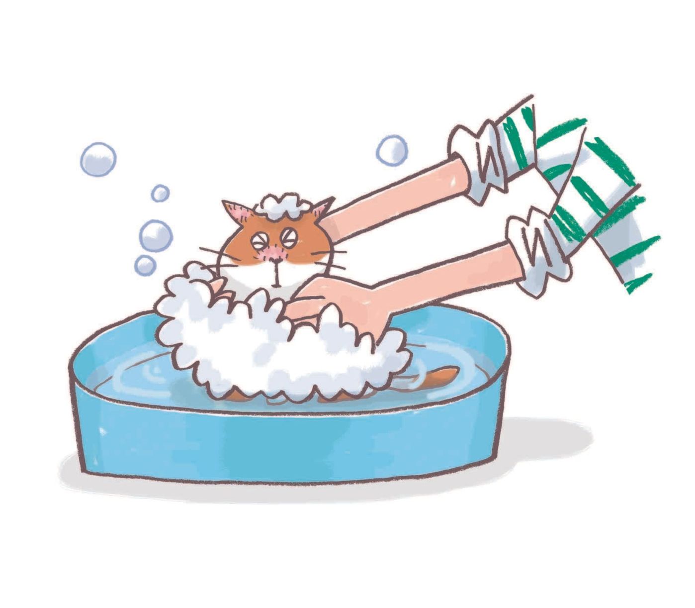 人にうつることもある病気 猫カビ 皮膚糸状菌症 の治療法は 獣医師が解説します ねこのきもちweb Magazine 人にうつることもある病気 猫カビ 皮膚糸状菌症 の治療法は 獣医師が解説します ねこのきもちweb Magazine