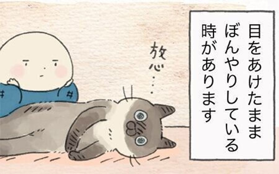 猫だって必要 ただただぼーっとするだけの時間 連載 ねこ連れ草 1話め ねこのきもちweb Magazine 猫だって必要 ただただぼーっとするだけの時間 連載 ねこ連れ草 1話め ねこのきもちweb Magazine