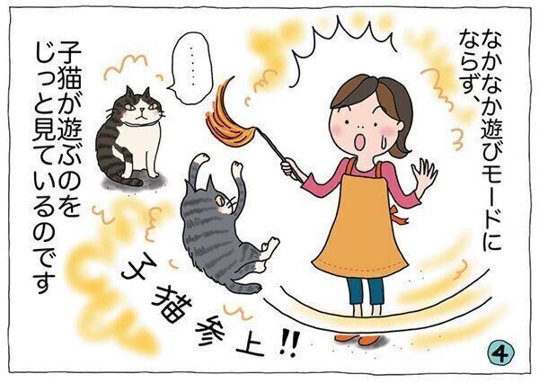 イラスト／吉沢深雪