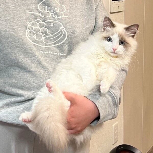 2カ月で大きくなったはんぺんくん