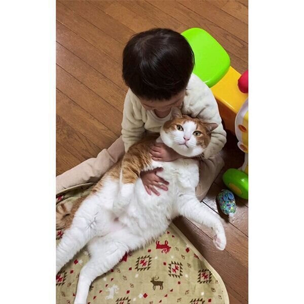 Zpbtkln9y1u4 M Zpbtkln9y1u4 M