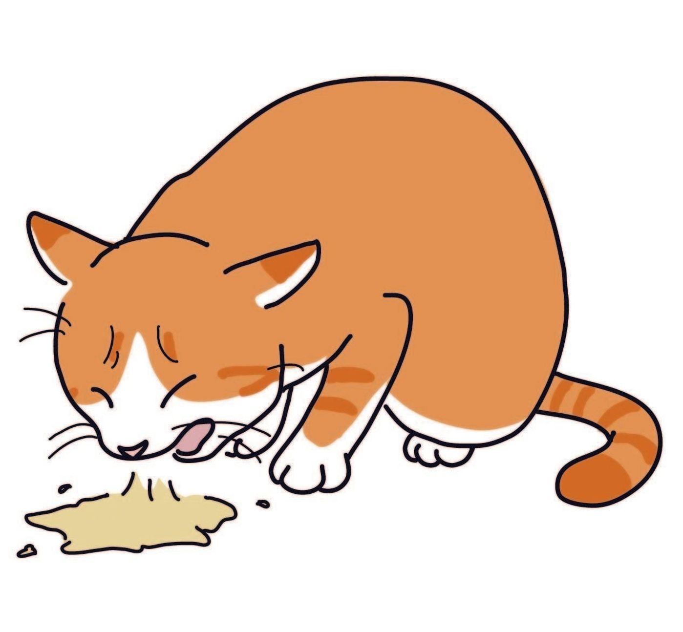 吐く 下痢 が心配 猫の消化器の異常とは ねこのきもちweb Magazine 吐く 下痢 が心配 猫の消化器の異常とは ねこのきもちweb Magazine