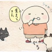 ねこ連れ草に関する記事一覧 ねこのきもちweb Magazine ねこ連れ草に関する記事一覧 ねこのきもちweb Magazine