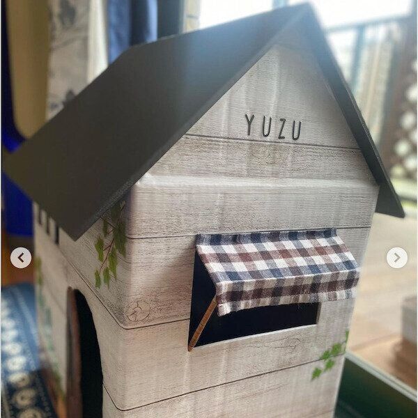 猫のためのDIY作品