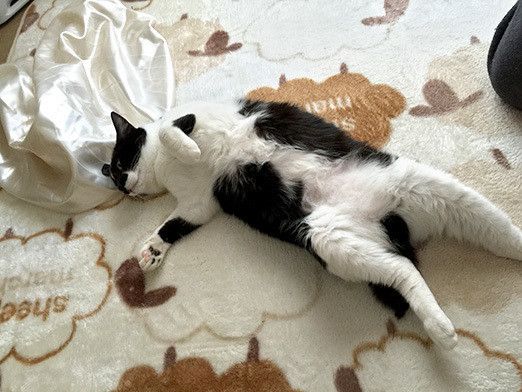 リュックのバランスボール爆破事件