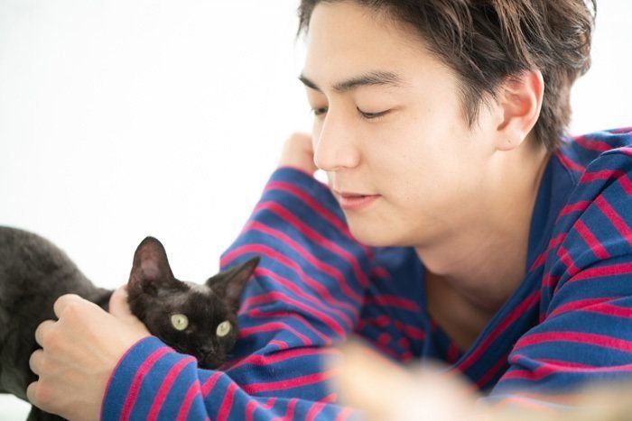 猫独特の、距離の取り方、好きです。