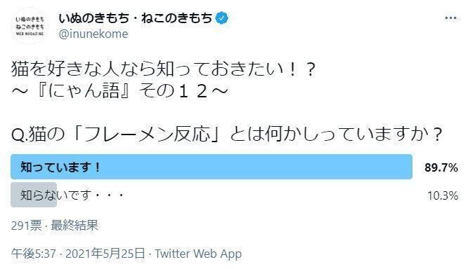 猫のフレーメン反応に関するアンケート