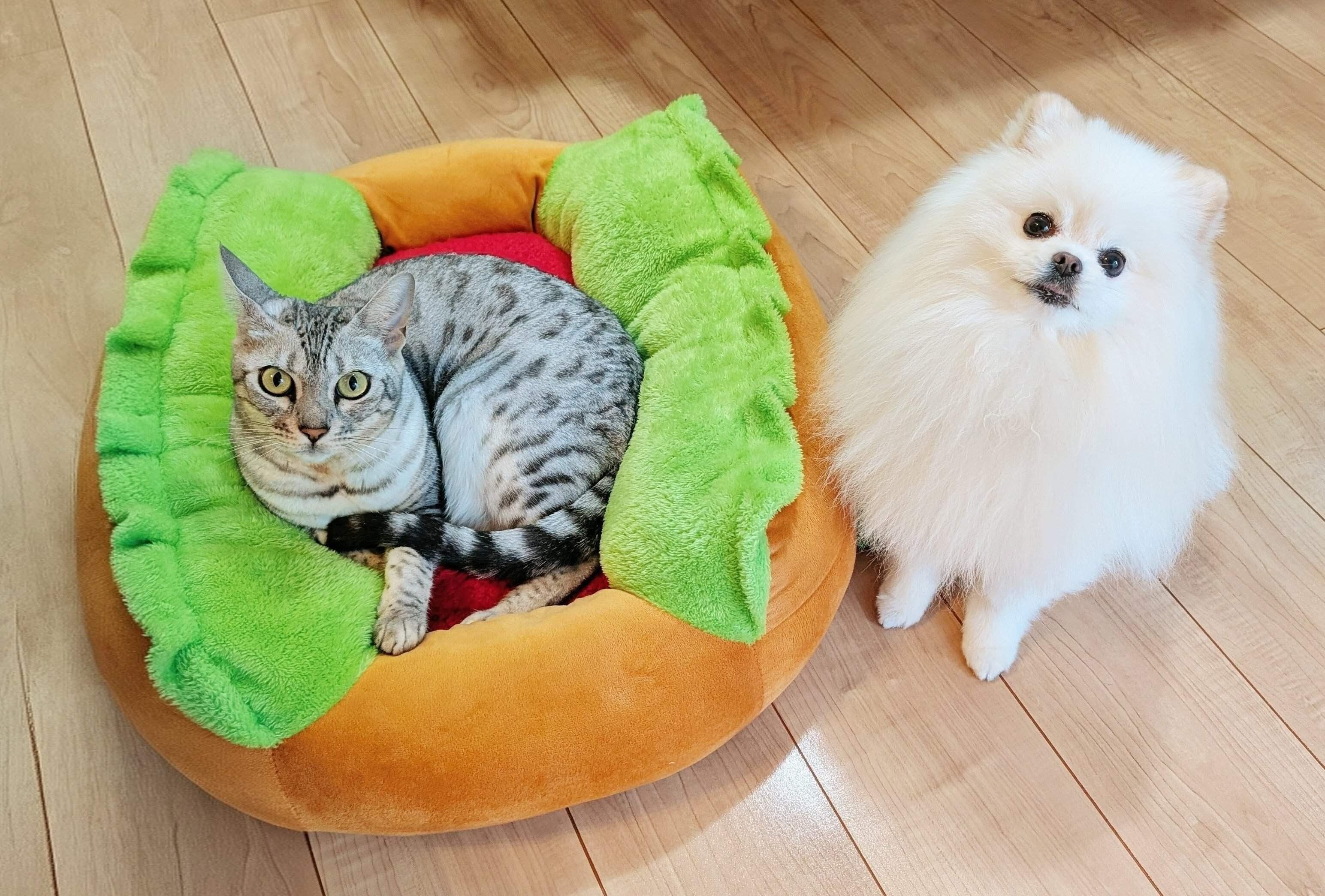 うにちゃんとこめたくん